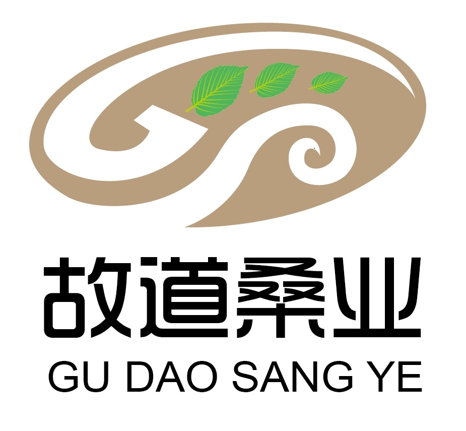 喝茶就可以防脫生發(fā)，太神奇了！桑葉養(yǎng)生茶