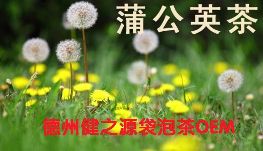 蒲公英茶，今天您喝了嗎？