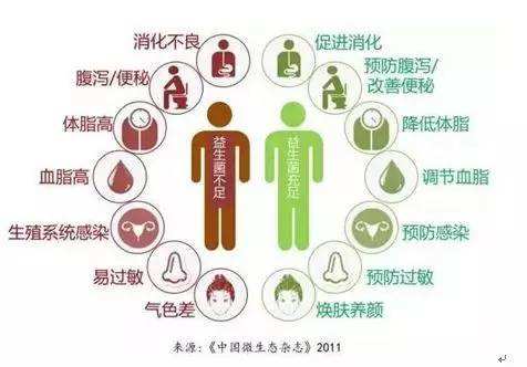 夏天腸胃問題頻發(fā)，您應(yīng)該用益生菌了