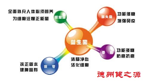 夏天腸胃問題頻發(fā)，您應(yīng)該用益生菌了